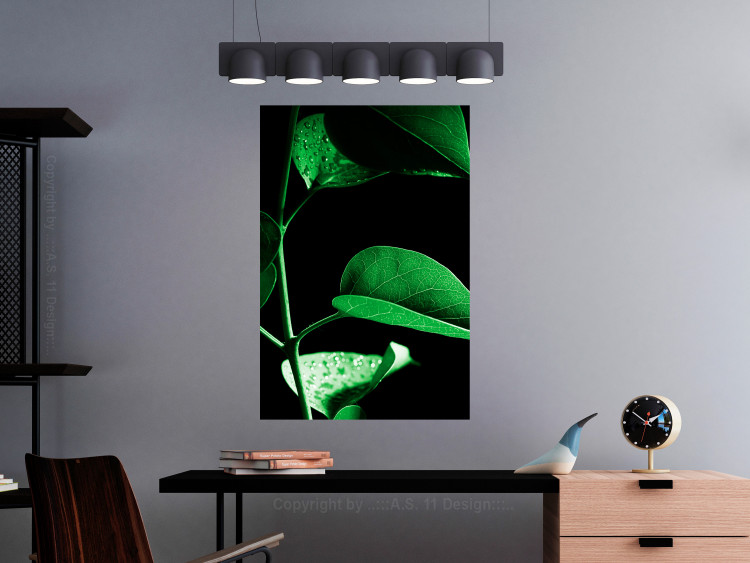 Poster Plant in Black - botanical composition with green leaves on a dark background 121617 additionalImage 17