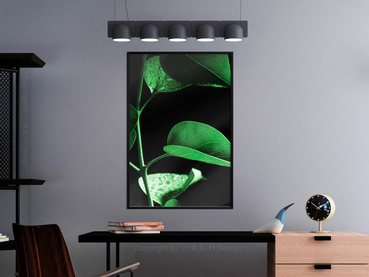 Poster Plant in Black - botanical composition with green leaves on a dark background 121617 additionalImage 3