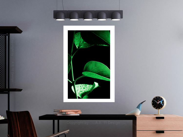 Poster Plant in Black - botanical composition with green leaves on a dark background 121617 additionalImage 4