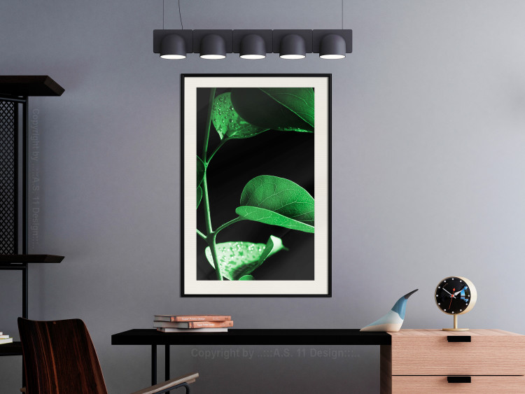 Poster Plant in Black - botanical composition with green leaves on a dark background 121617 additionalImage 22
