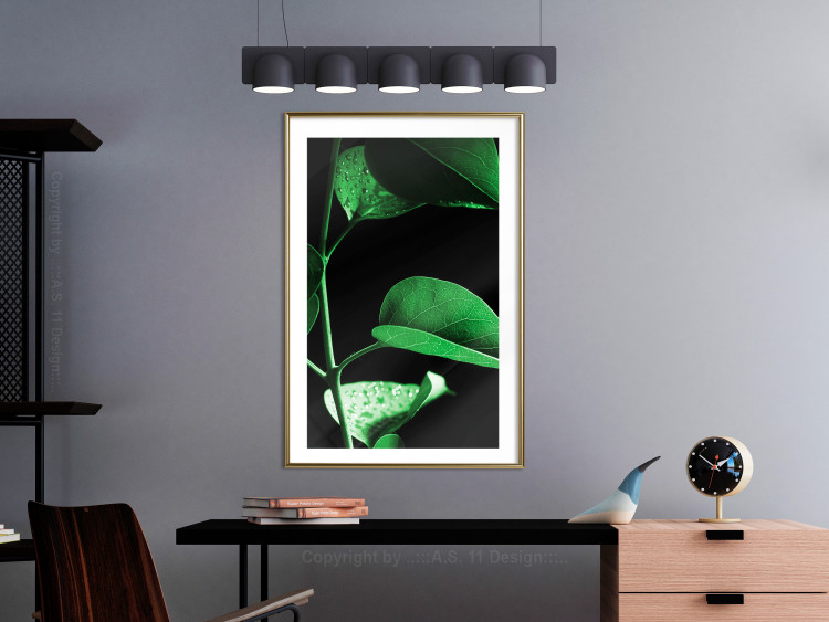 Poster Plant in Black - botanical composition with green leaves on a dark background 121617 additionalImage 15