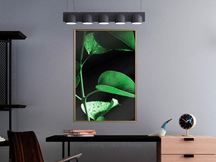 Poster Plant in Black - botanical composition with green leaves on a dark background 121617 additionalImage 7