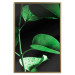 Poster Plant in Black - botanical composition with green leaves on a dark background 121617 additionalThumb 16