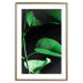 Poster Plant in Black - botanical composition with green leaves on a dark background 121617 additionalThumb 14
