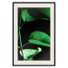 Poster Plant in Black - botanical composition with green leaves on a dark background 121617 additionalThumb 18