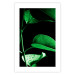 Poster Plant in Black - botanical composition with green leaves on a dark background 121617 additionalThumb 25
