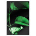 Poster Plant in Black - botanical composition with green leaves on a dark background 121617 additionalThumb 24