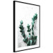 Poster Eucalyptus Scent - green plant leaves on a concrete texture background 123417 additionalThumb 11
