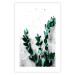 Poster Eucalyptus Scent - green plant leaves on a concrete texture background 123417 additionalThumb 19