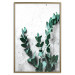 Poster Eucalyptus Scent - green plant leaves on a concrete texture background 123417 additionalThumb 27