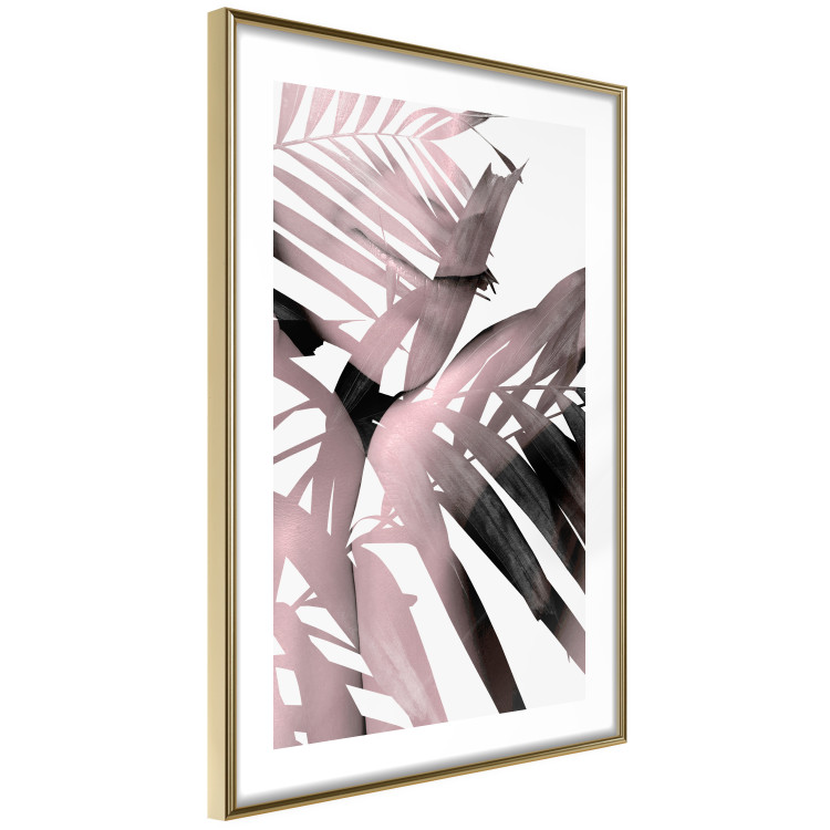 Poster Sensual Words - brown palm leaves with bright highlights on white background 123517 additionalImage 6