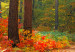 Large canvas print Sunny Autumn II [Large Format] 125617 additionalThumb 4