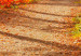 Large canvas print Sunny Autumn II [Large Format] 125617 additionalThumb 3