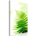 Canvas Fern (1 Part) Vertical 126817 additionalThumb 2