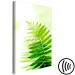 Canvas Fern (1 Part) Vertical 126817 additionalThumb 6