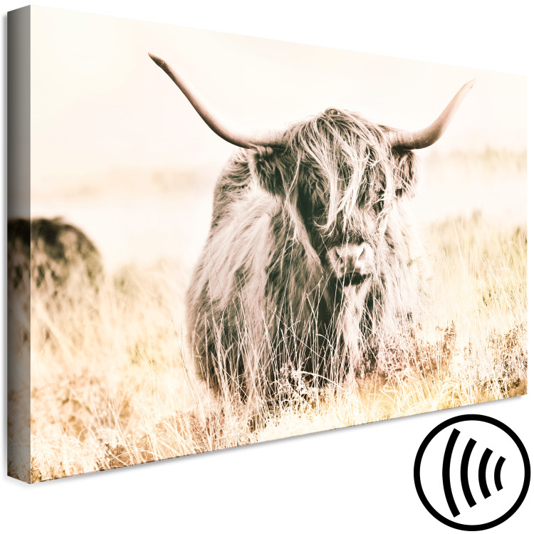 Canvas Print Scottish Giant (1-piece) Wide - meadow landscape with an animal 129817 additionalImage 6