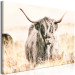 Canvas Print Scottish Giant (1-piece) Wide - meadow landscape with an animal 129817 additionalThumb 2
