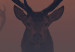 Wall Poster Deer in the Mist - animal against a sunset backdrop during mist 129917 additionalThumb 4