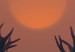 Wall Poster Deer in the Mist - animal against a sunset backdrop during mist 129917 additionalThumb 5