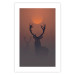 Wall Poster Deer in the Mist - animal against a sunset backdrop during mist 129917 additionalThumb 25