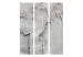 Room Divider Screen Concrete Emptiness (3-piece) - simple composition in gray shades 133017 additionalThumb 3