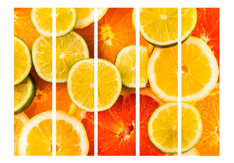 Folding Screen Citrus Fruits II (5-piece) - pattern in orange tropical fruits 133317 additionalImage 3