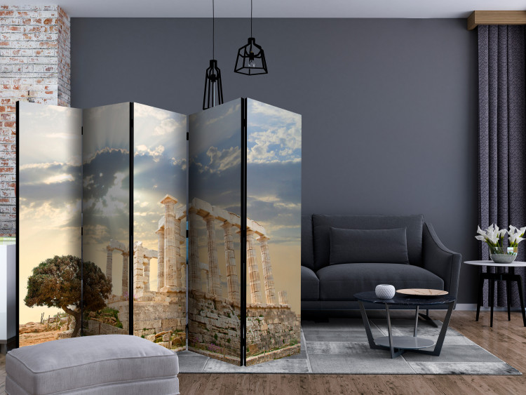 Room Divider Screen Greek Acropolis II - tree and historic building against sky and clouds 133817 additionalImage 4