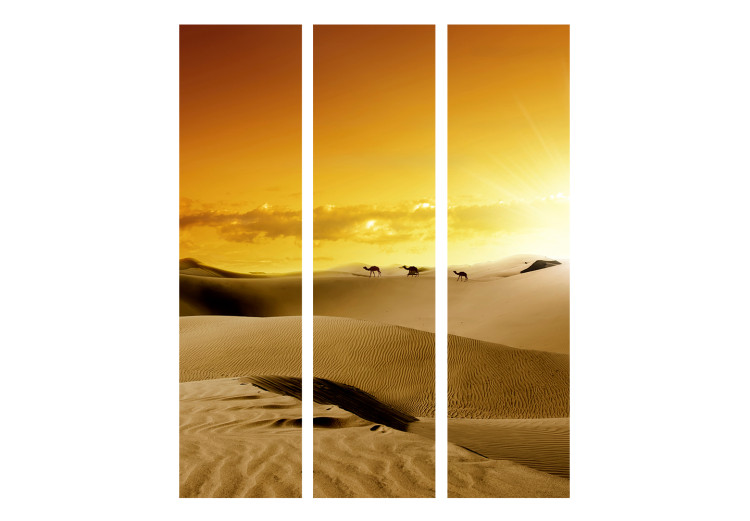 Room Separator Camel Caravan - landscape of sandy desert against sunset 134117 additionalImage 3