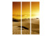 Room Separator Camel Caravan - landscape of sandy desert against sunset 134117 additionalThumb 3