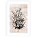Wall Poster Watery Thicket - marine and black plant composition on a light beige background 134517 additionalThumb 25