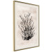 Wall Poster Watery Thicket - marine and black plant composition on a light beige background 134517 additionalThumb 3