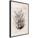 Wall Poster Watery Thicket - marine and black plant composition on a light beige background 134517 additionalThumb 2