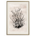 Wall Poster Watery Thicket - marine and black plant composition on a light beige background 134517 additionalThumb 20