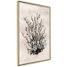Wall Poster Watery Thicket - marine and black plant composition on a light beige background 134517 additionalThumb 12