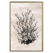 Wall Poster Watery Thicket - marine and black plant composition on a light beige background 134517 additionalThumb 17