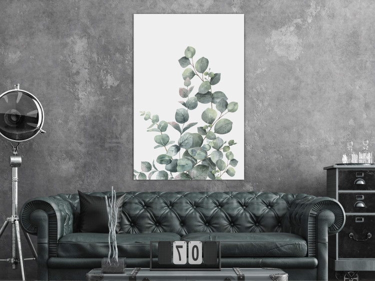 Canvas Art Print Eucalyptus leaves - landscape on a white background 137217 additionalImage 3