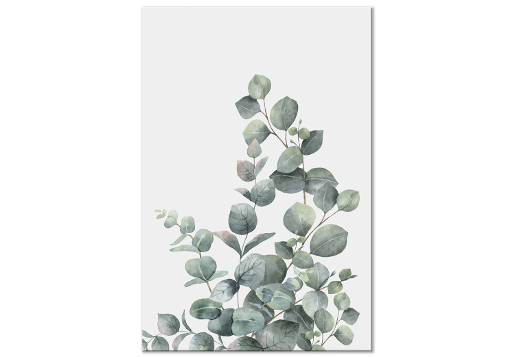 Canvas Art Print Eucalyptus leaves - landscape on a white background 137217