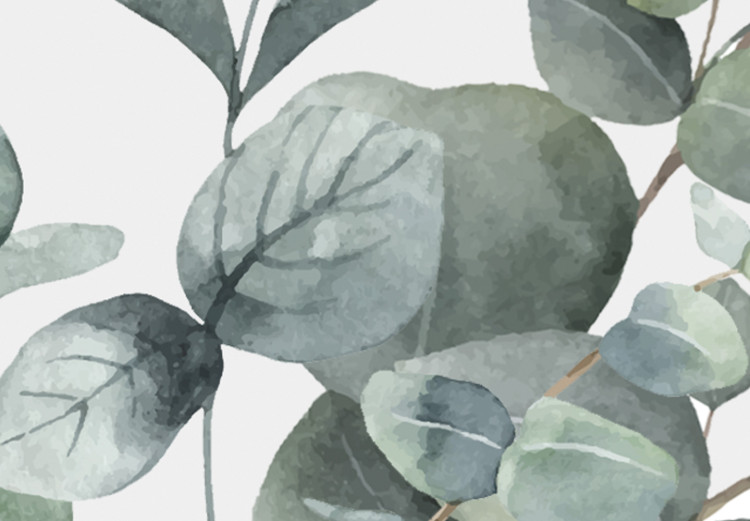 Canvas Art Print Eucalyptus leaves - landscape on a white background 137217 additionalImage 4