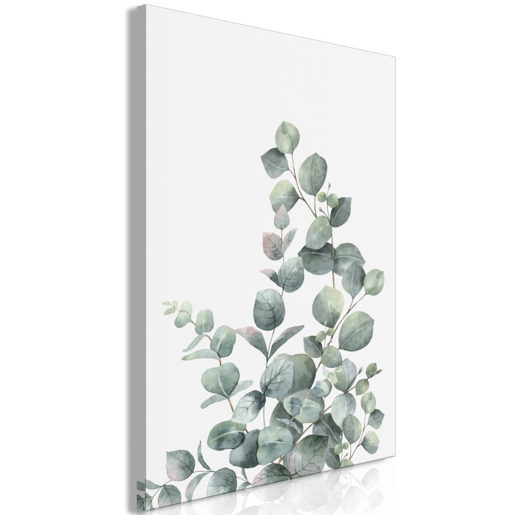 Canvas Art Print Eucalyptus leaves - landscape on a white background 137217 additionalImage 2