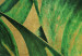 Canvas Print Leaves in Gold (1-piece) - close-up landscape with plants 142517 additionalThumb 4