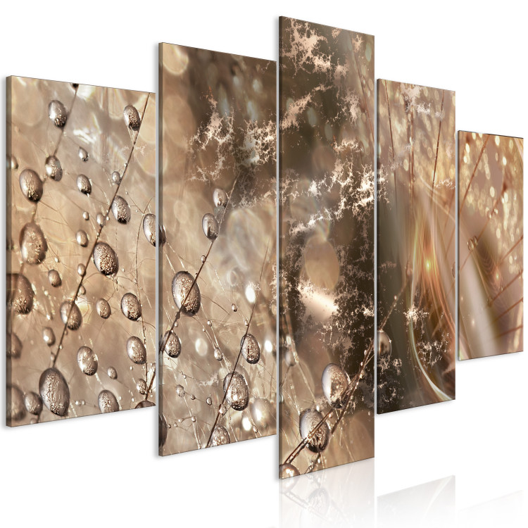 Canvas Dandelion in Sepia (5-piece) - abstraction in dew-sprinkled flowers 144517 additionalImage 2