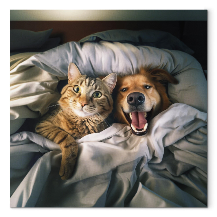 Canvas Print AI Golden Retriever Dog and Tabby Cat - Animals Resting in Comfortable Bedding - Square 150217