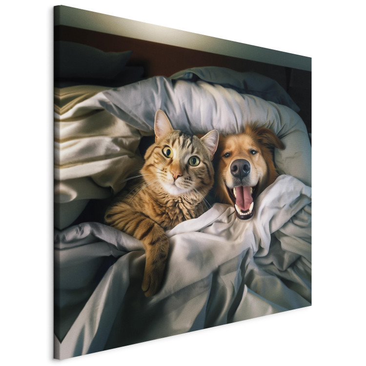 Canvas Print AI Golden Retriever Dog and Tabby Cat - Animals Resting in Comfortable Bedding - Square 150217 additionalImage 2