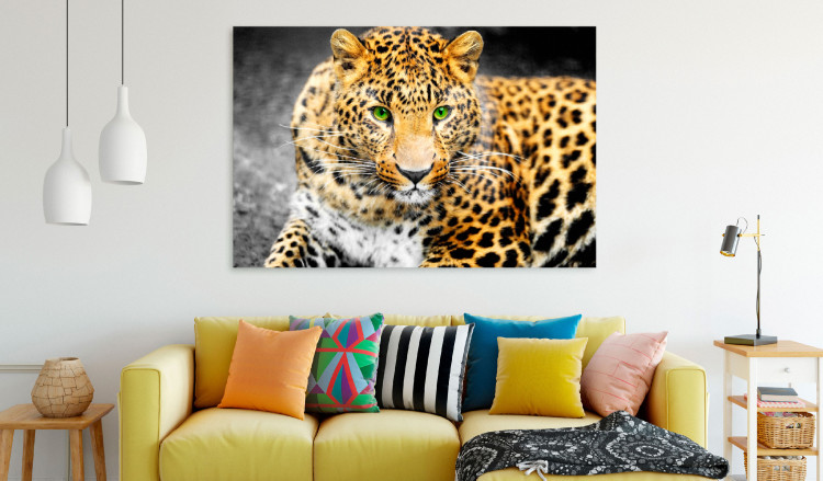 Large canvas print Wild Cat Portrait [Large Format] 150717 additionalImage 5