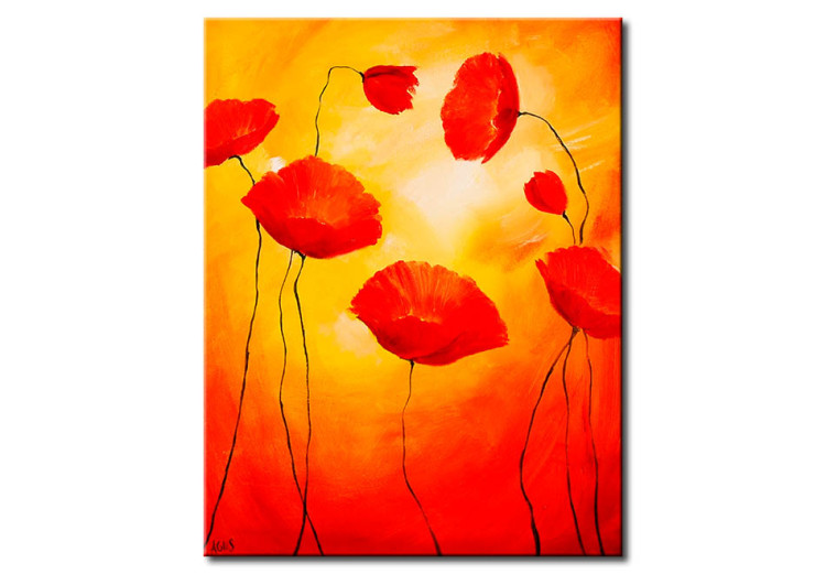 Canvas Art Print Sunny poppies 47217