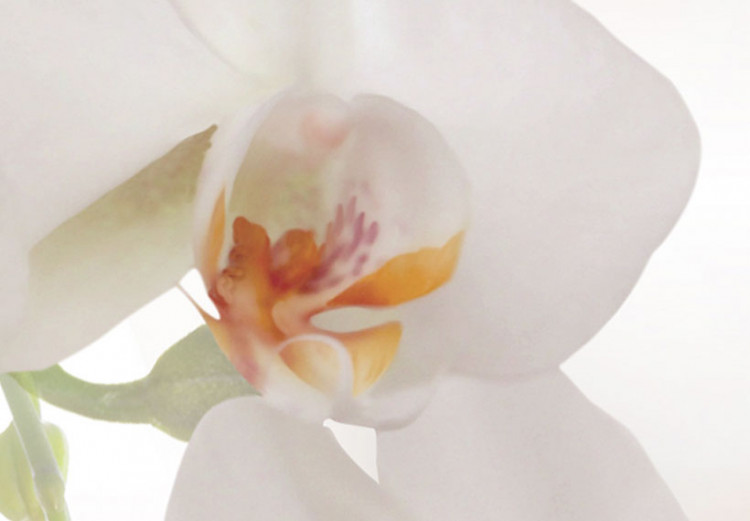Canvas Art Print A white abstract orchid 55617 additionalImage 4