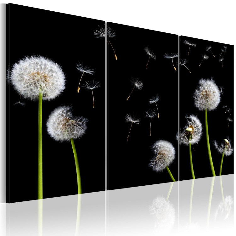 Canvas Print Dandelions family 58617 additionalImage 2