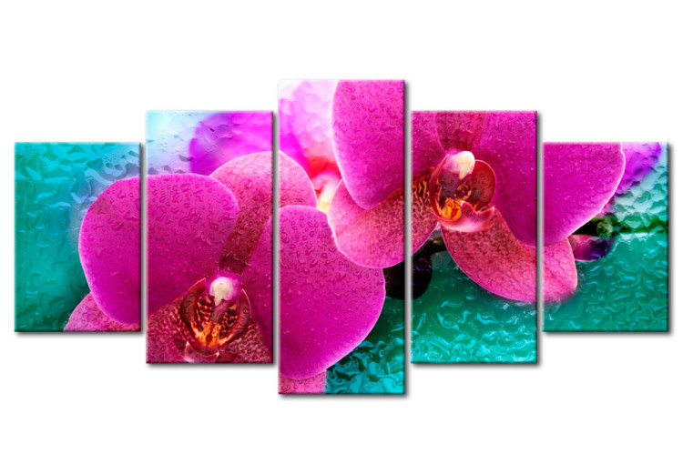 Canvas Art Print Exotic orchids 58717