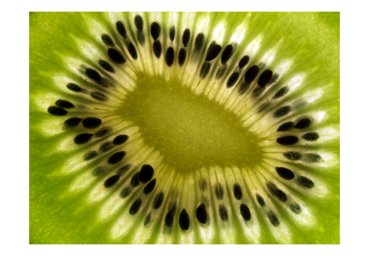 Wall Mural Fruit Flavours - Halved Interior of a Green Kiwi with Seeds 59817 additionalImage 1