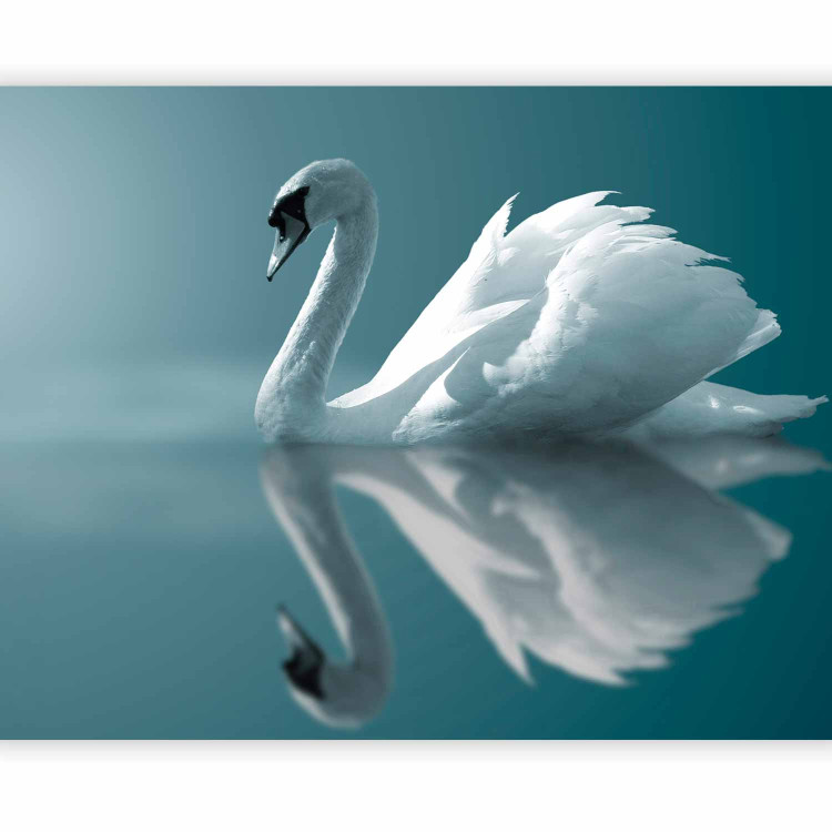 Photo Wallpaper White swan 61317 additionalImage 5